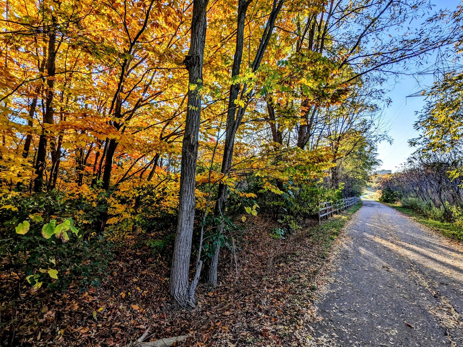 North York Bike Trail