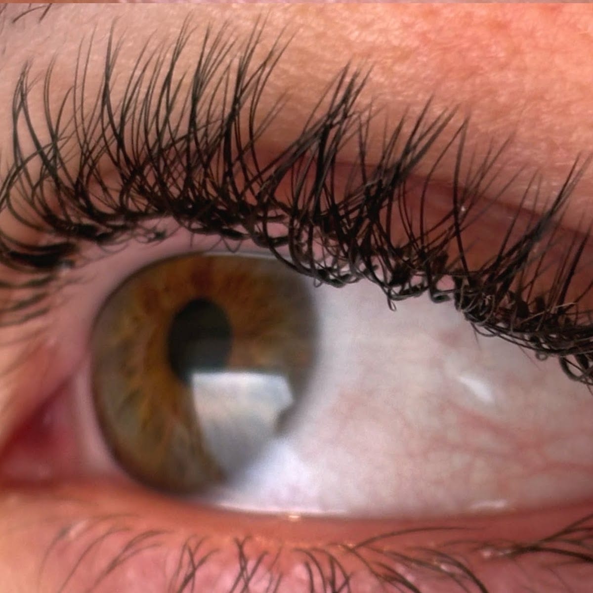 Lash Intentions, photo 2