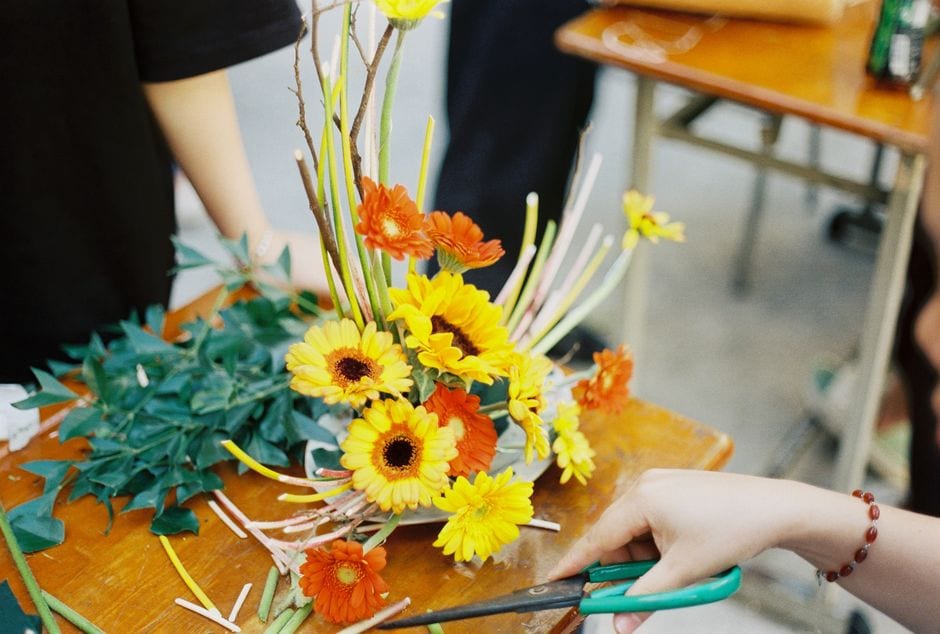 Pick Your Own Flowers in the Grand Traverse Bay Area