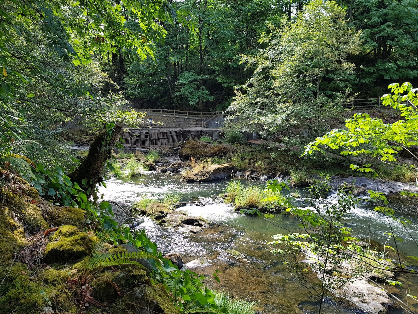 Stevens Field, photo 3