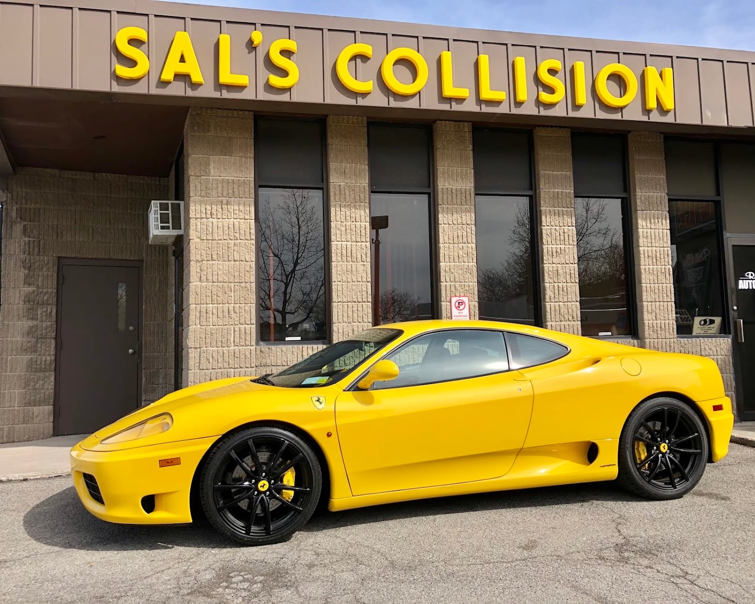 Sal's Collision & Ficos Sals Collision