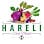 Hareli Fresh Market Frisco Main St