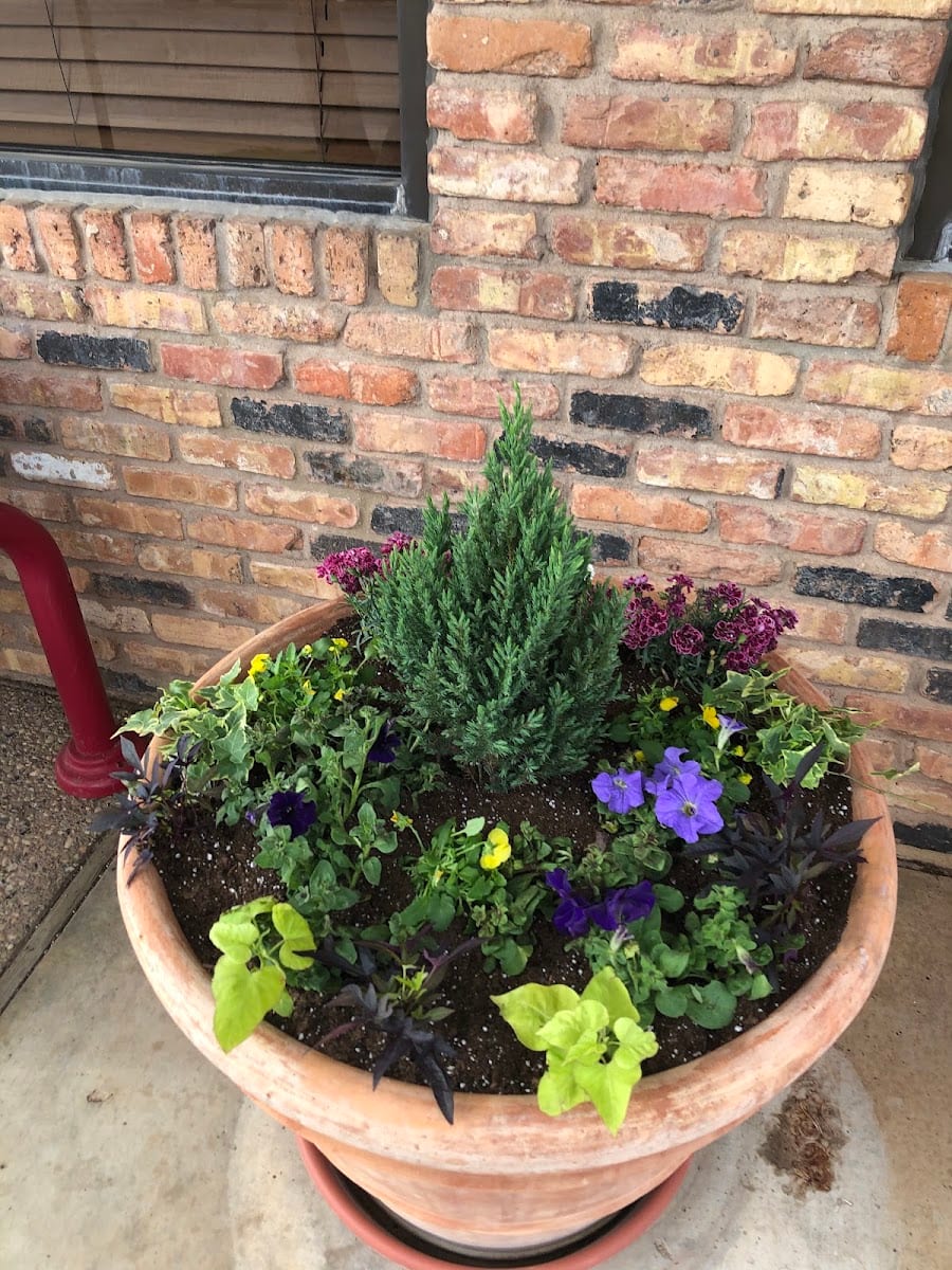 Lbk Plantscapes & Lawn Care, photo 4
