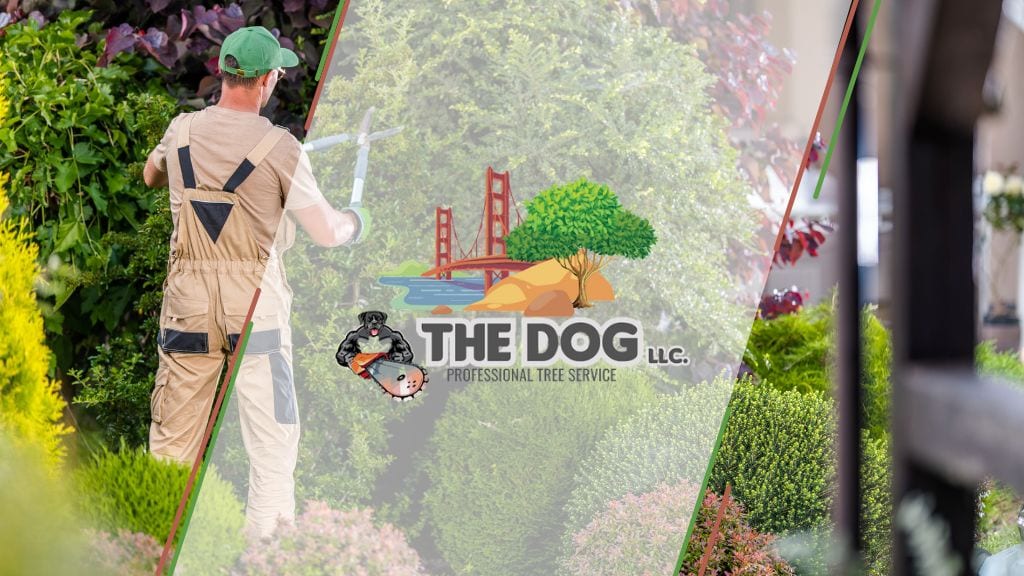 The Dog Tree Service LLC, photo 2