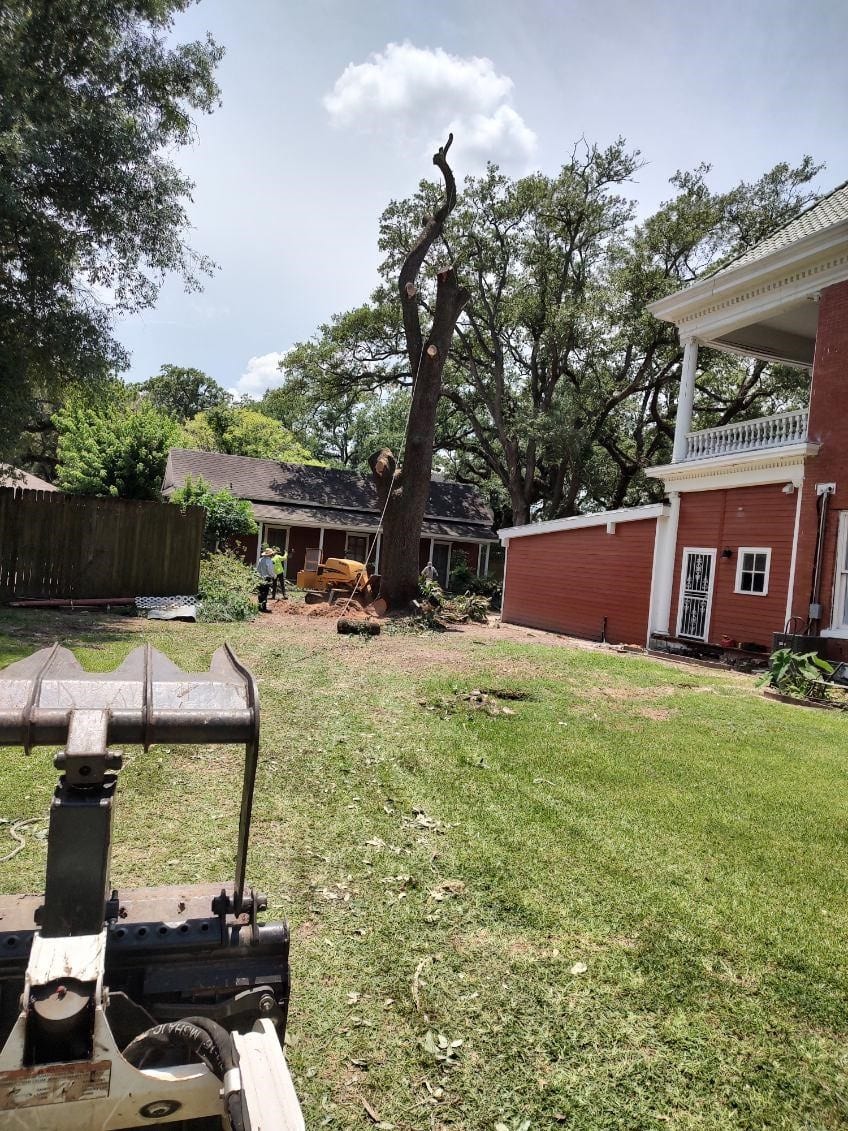 The Compadres Landscaping LLC, photo 2