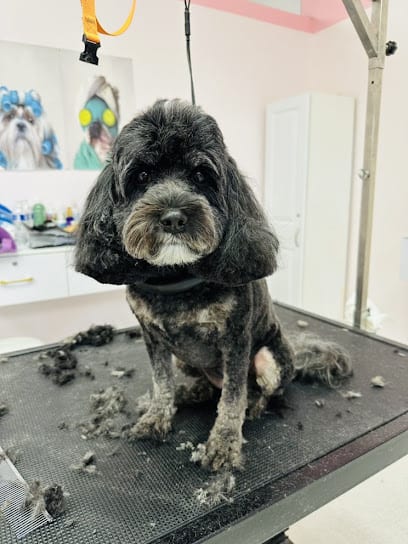 PinkPaw Pet Salon