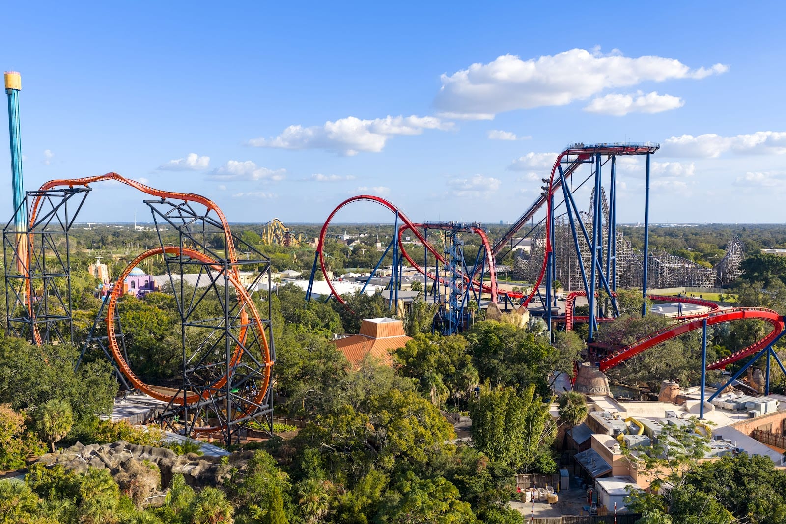 Busch Gardens Tampa Bay, photo 2