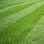 Hills Landscaping/Property Maintenance & Snow Removal