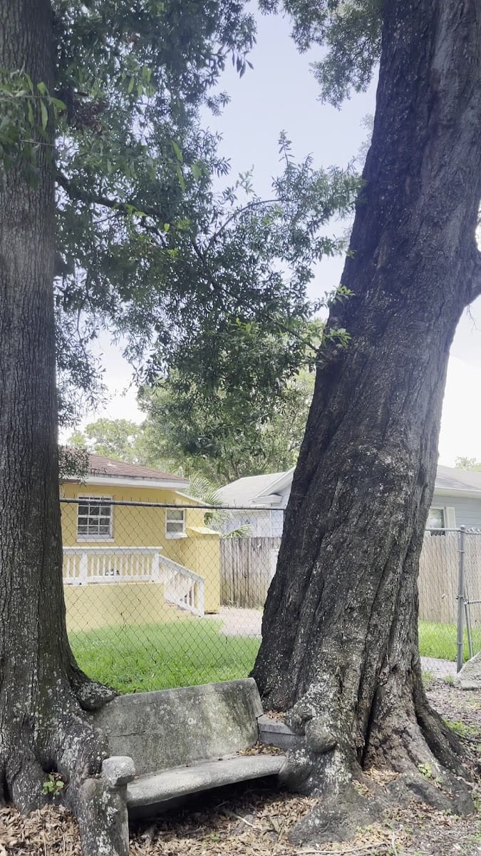Phillips Park, photo 3