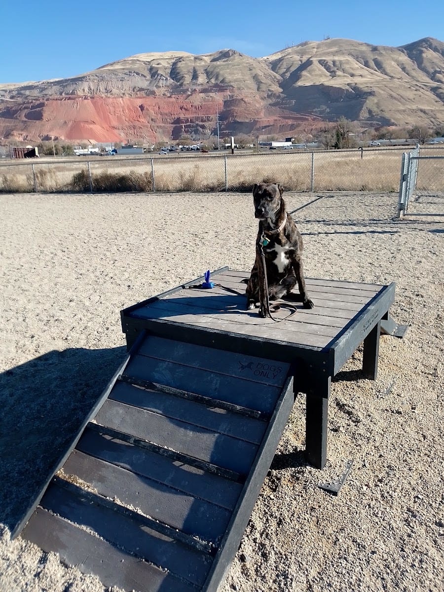 Rosewood Dog Park