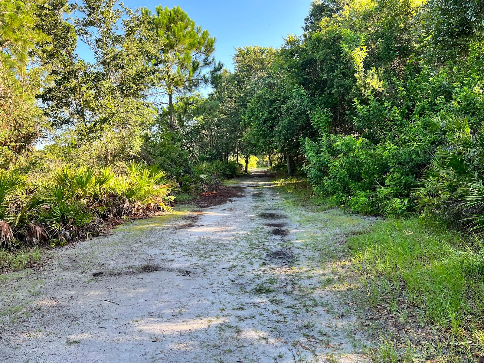 Pinebrook Fit Trail