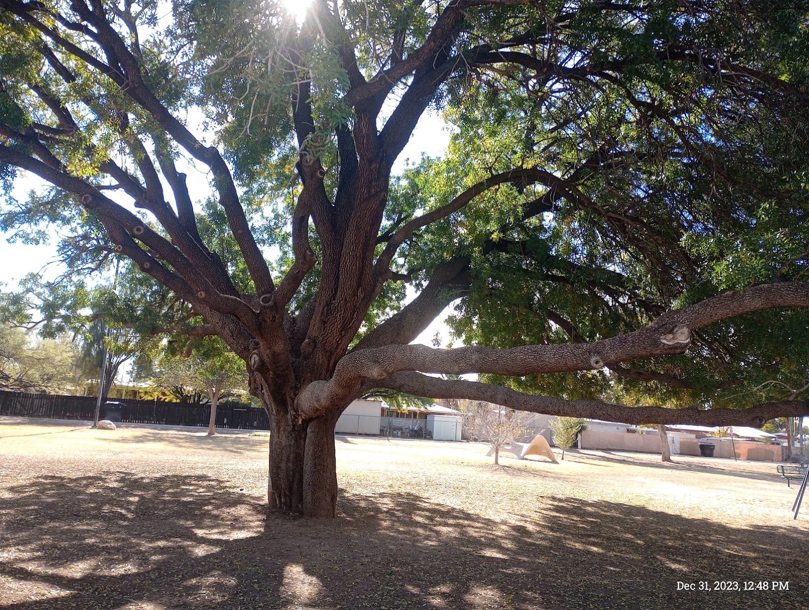 McCormick Park