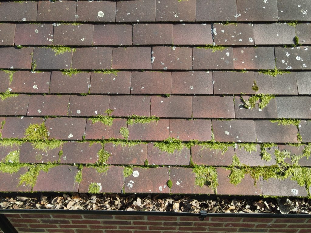 The Roof Inspector, photo 4