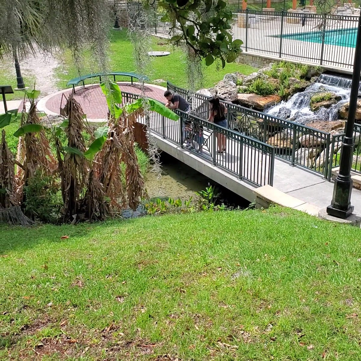 Spring Park, photo 2