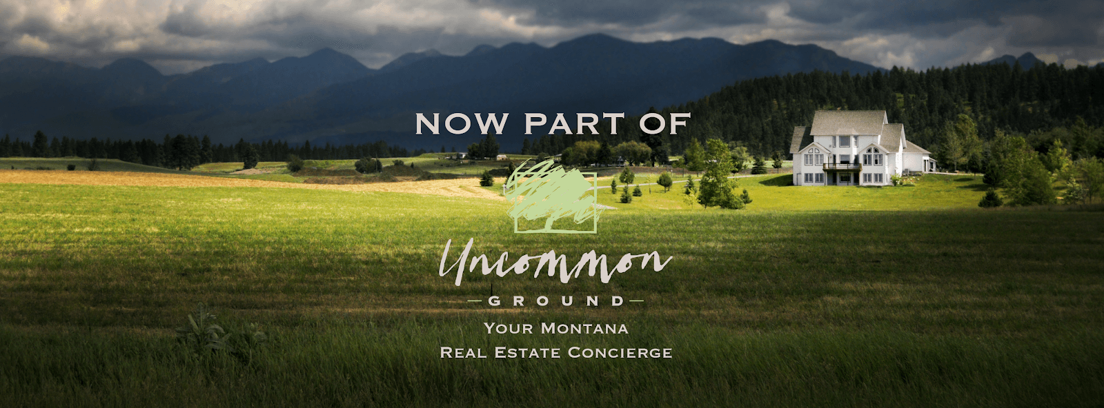 Craig Stevens Real Estate