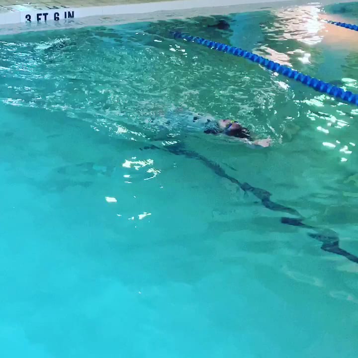 SwimSRQ: swim lessons in sarasota, photo 4