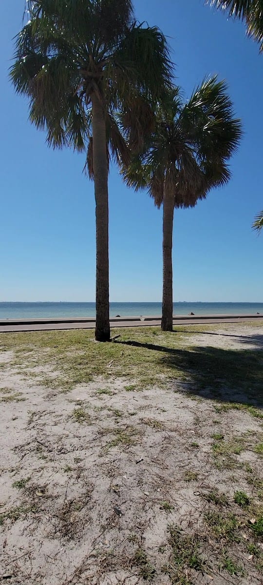 Courtney Campbell Causeway Trail, photo 2