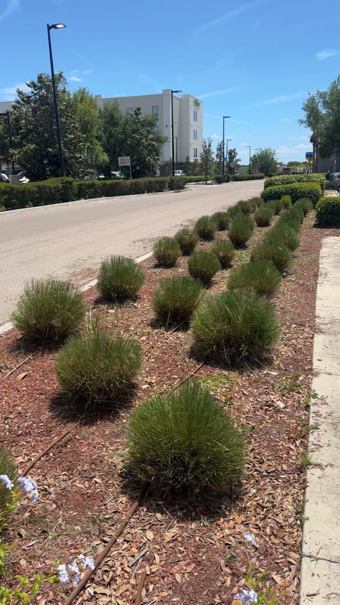 CornerStone Land Services