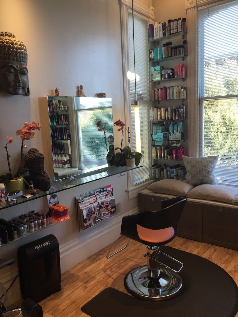 Robert Anthony Salon, photo 3
