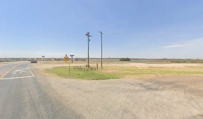 Texland Petroleum Inc