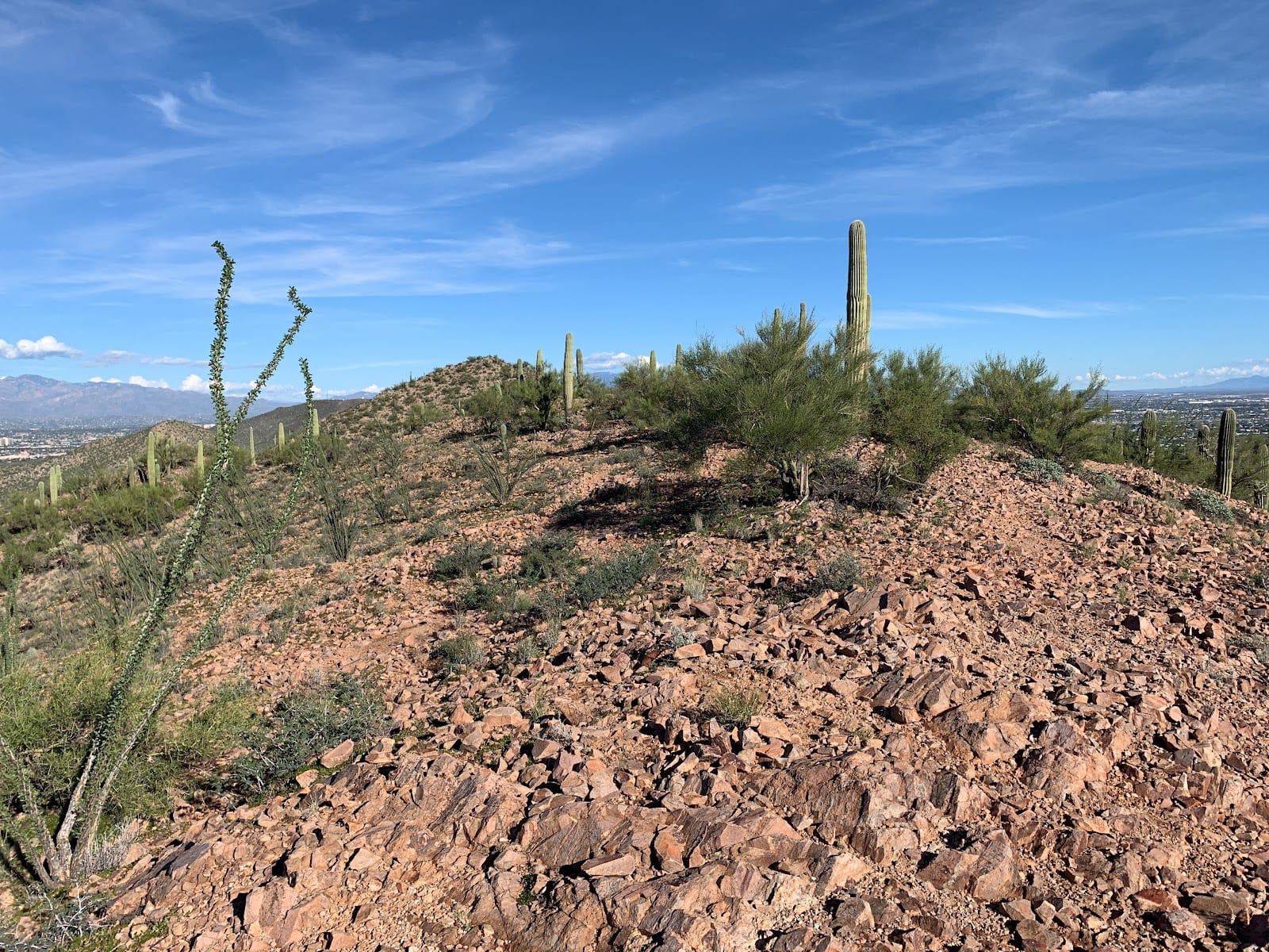 Mine Mountain