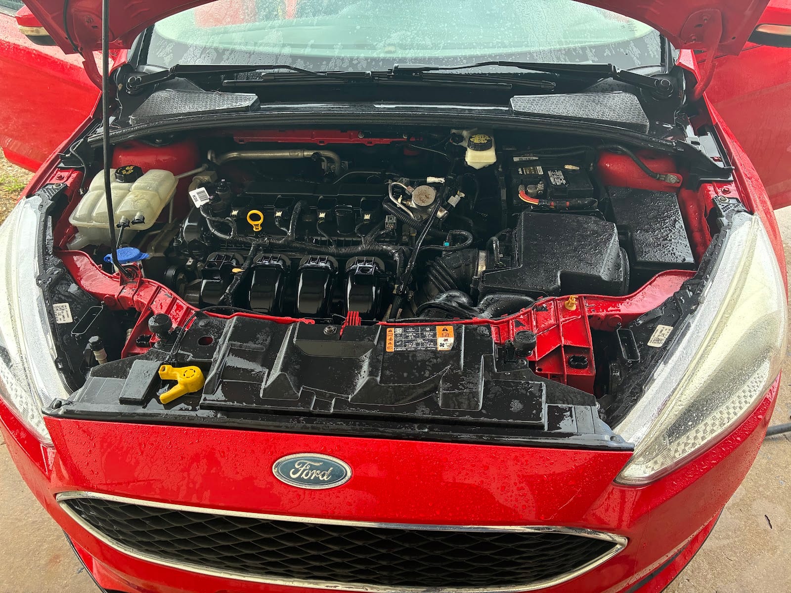 Precision Auto & Marine, photo 3