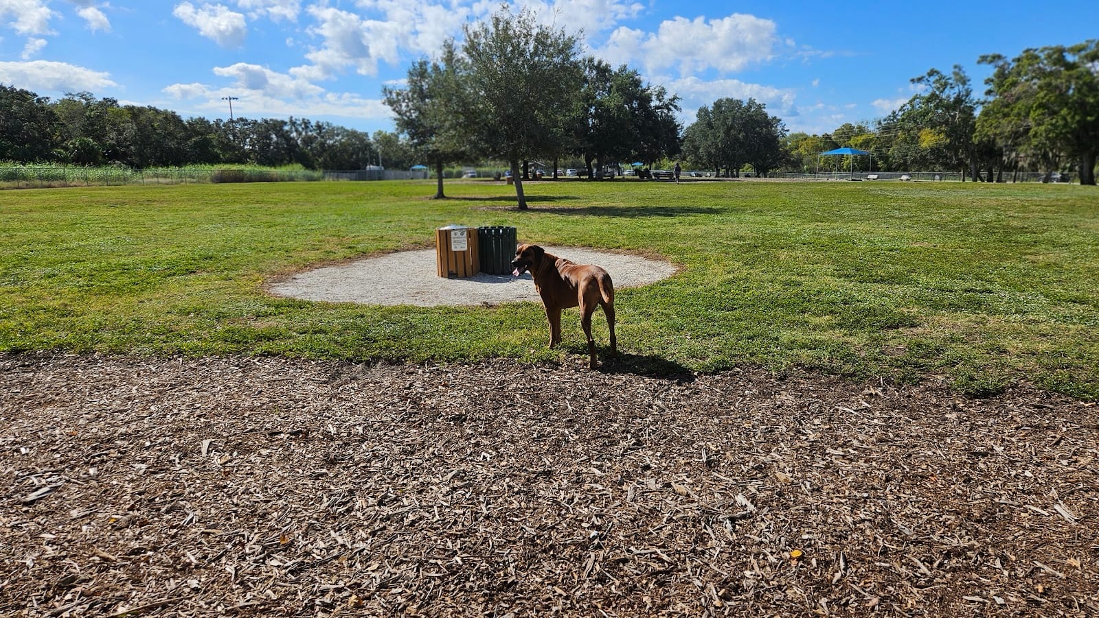 17th Street Paw Park