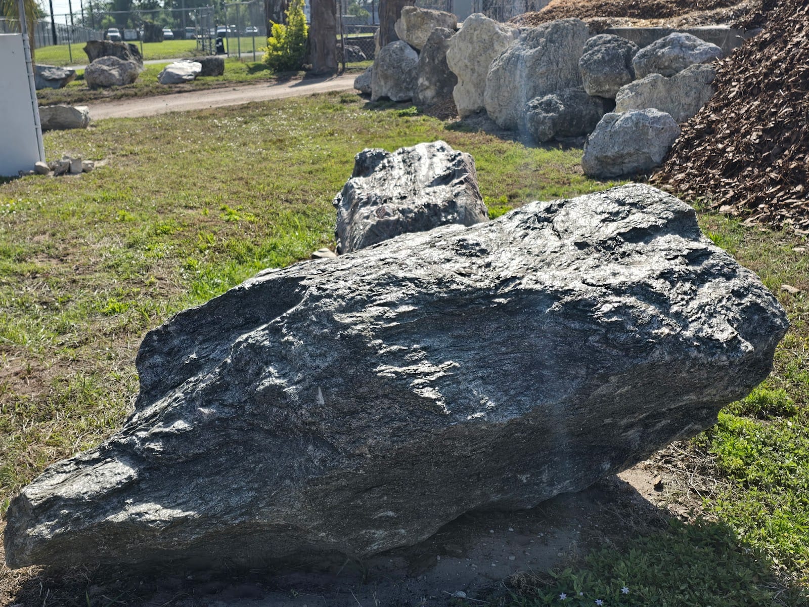 Landscaping Tune-Ups, photo 4