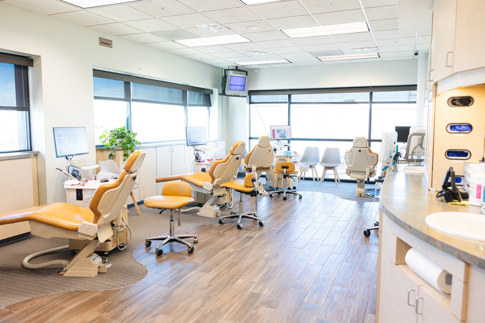 Signature Orthodontics, photo 3