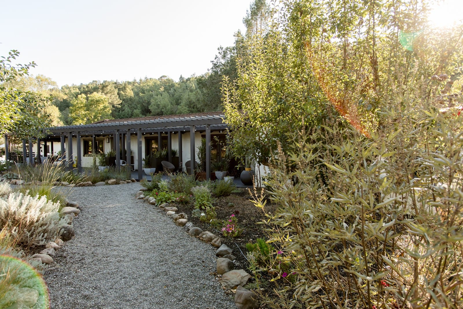 Brookside Inn & Vineyards, photo 2