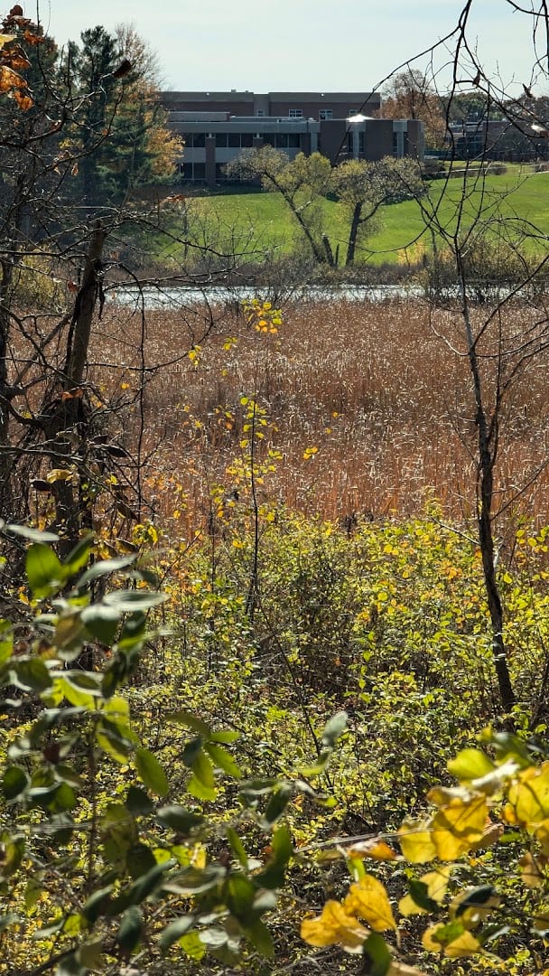 Spring Lake, photo 2