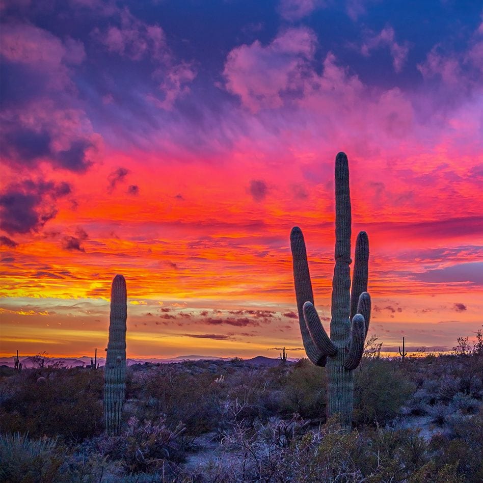 Scottsdale Condominium Rentals, photo 4