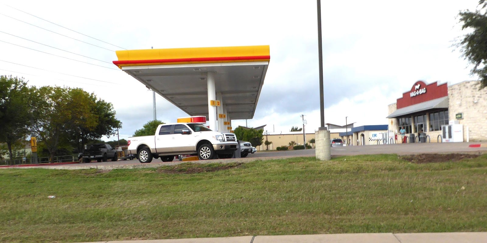 Shell, photo 3