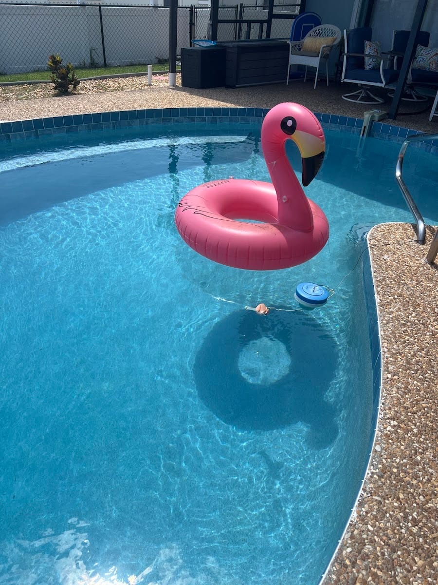 Pelican Pools Service and Repair