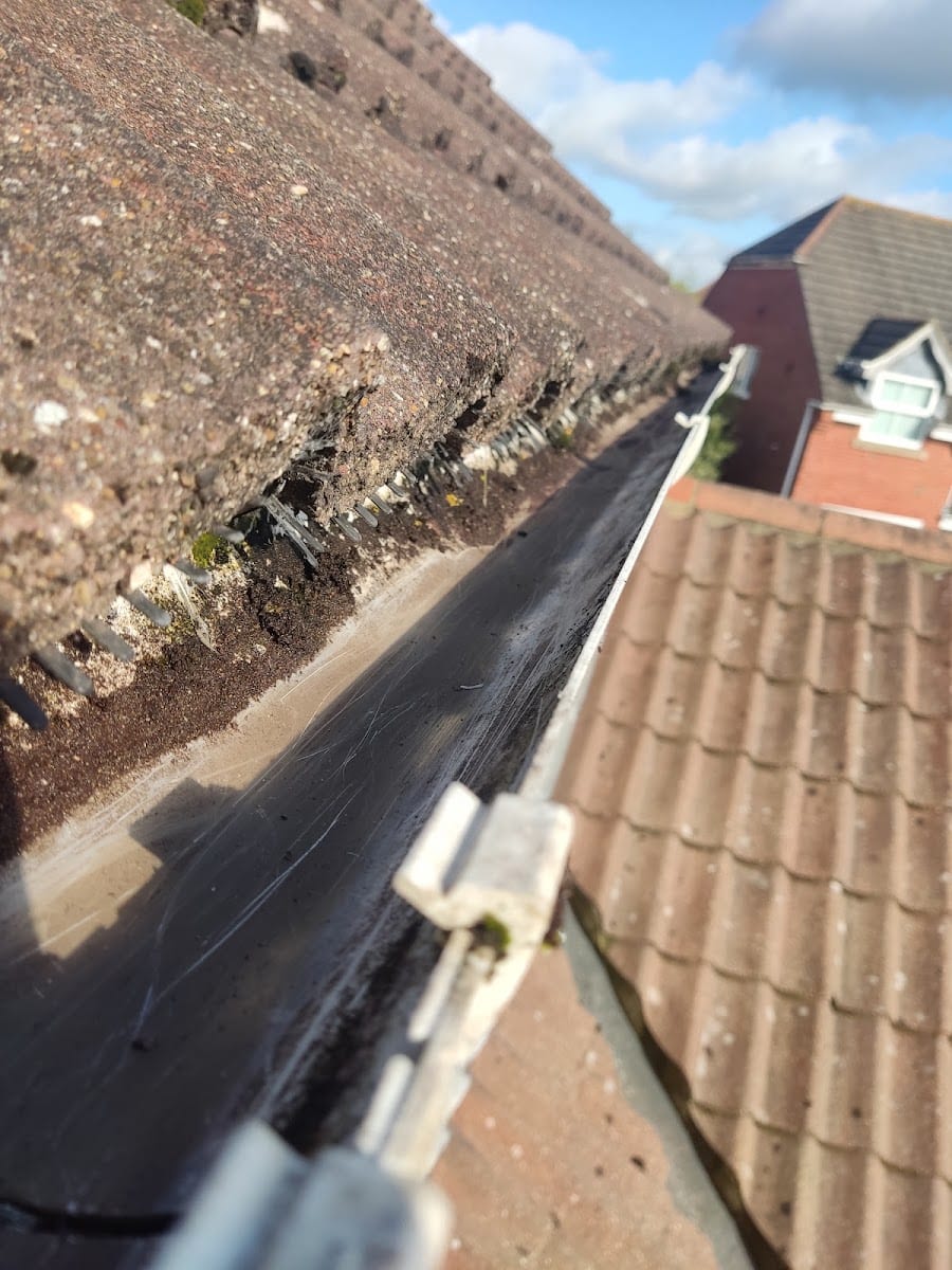 Neil Collingbourne Cleaning