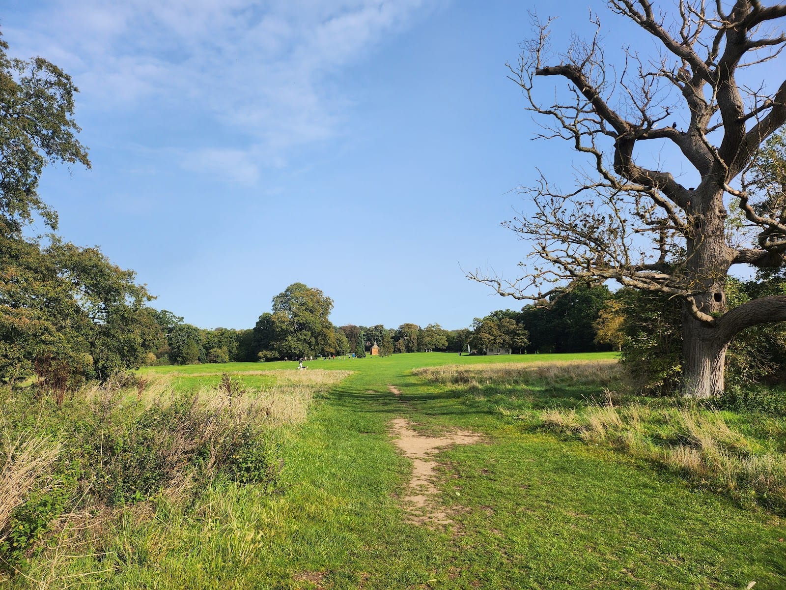 Earlham Park
