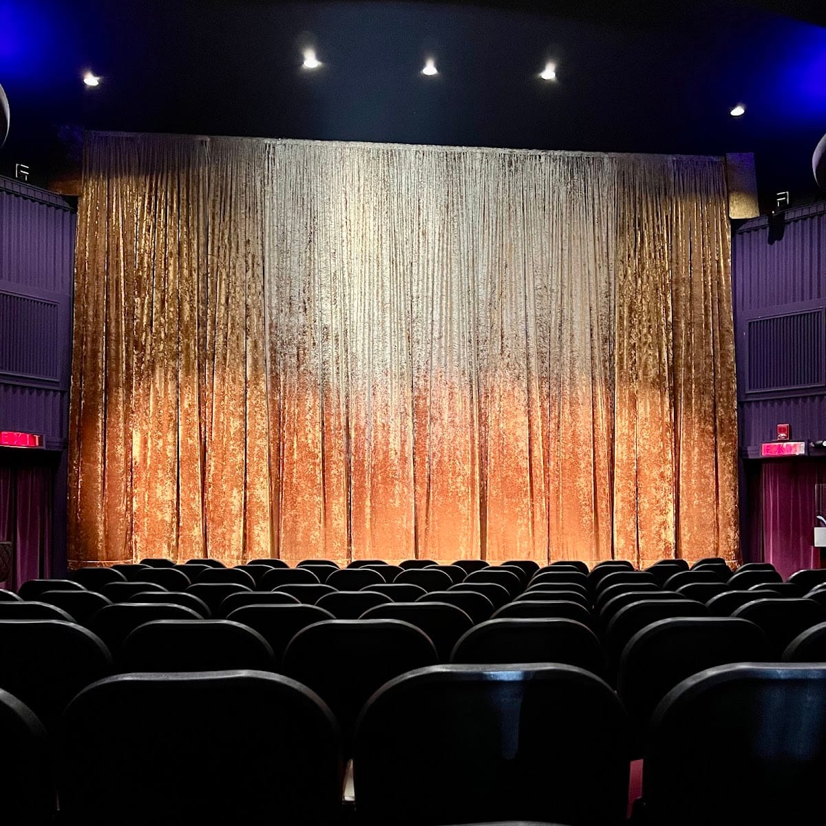 Dryden Theatre, photo 4