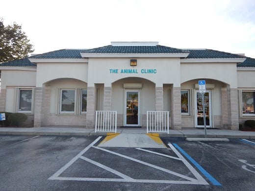 The Animal Clinic, photo 3