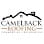 Camelback Roofing
