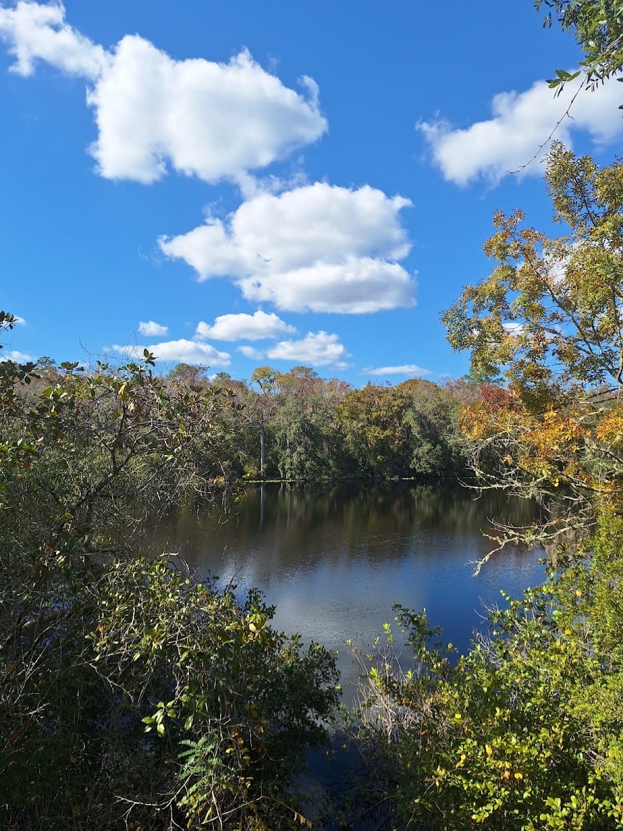 Black Creek Ravines Conservation Area