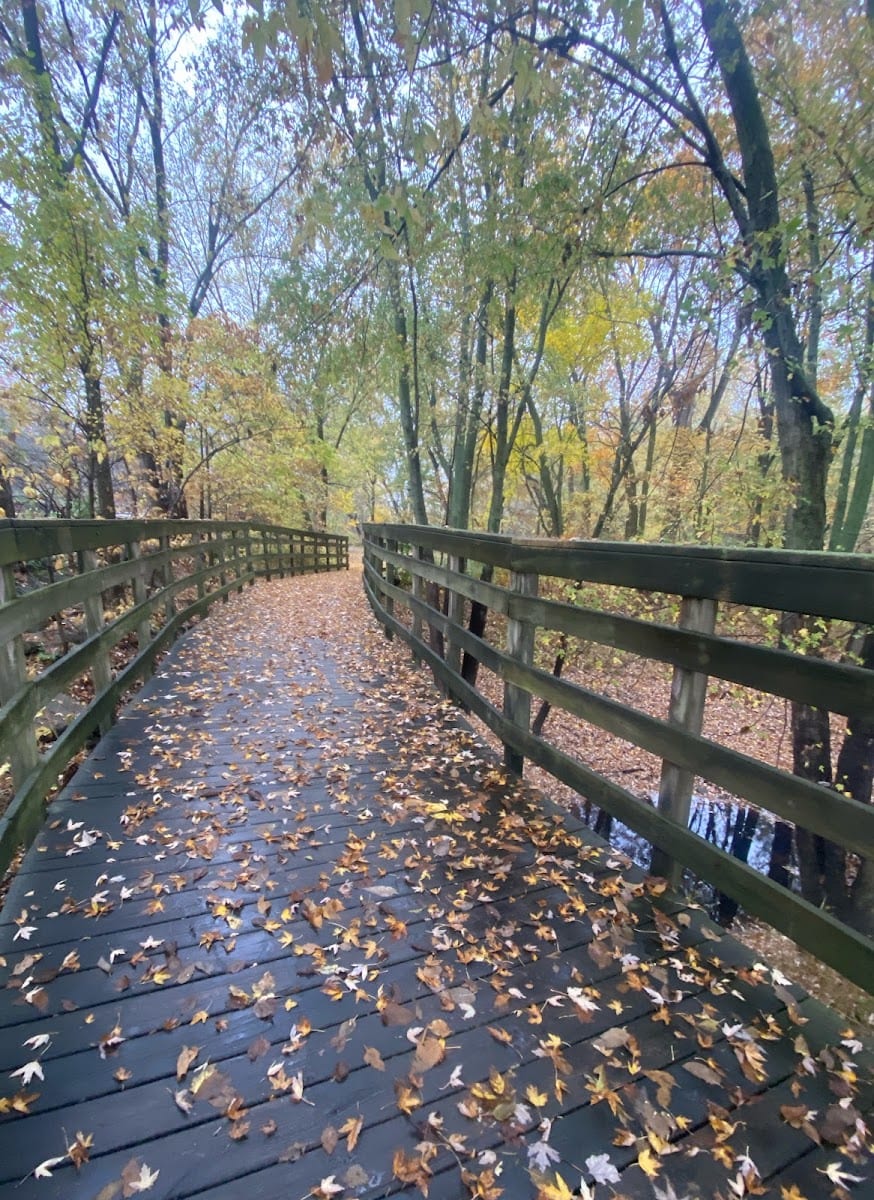 Rivergreenway, photo 2