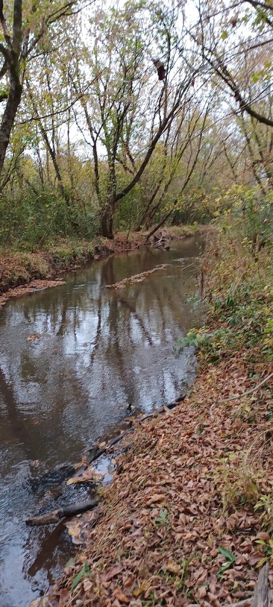 Beaverdam Creek WMA