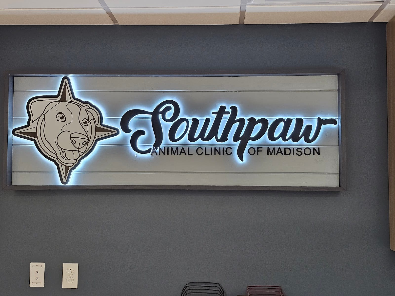 Southpaw Animal Clinic of Madison, photo 3