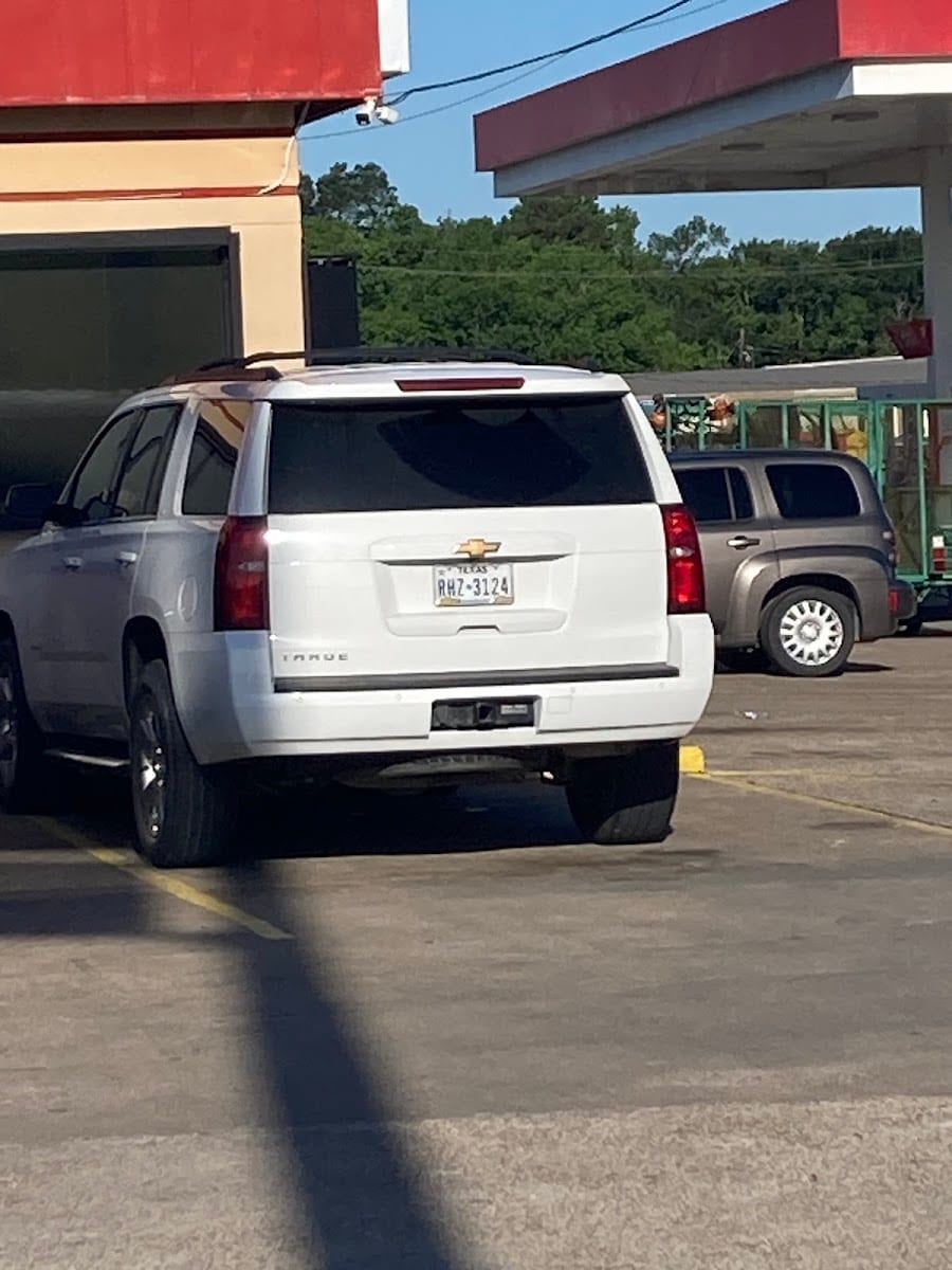 Gators