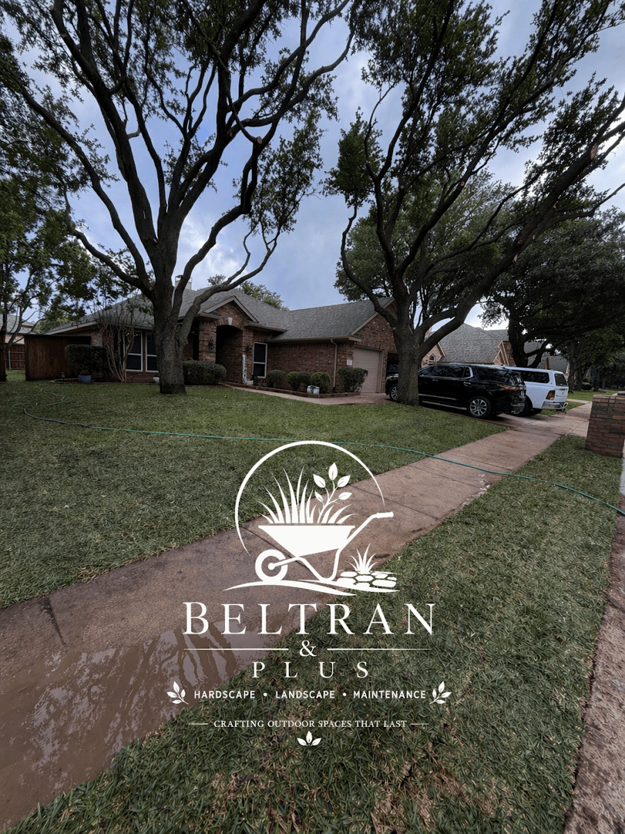 Beltran & Plus Landscaping, photo 2