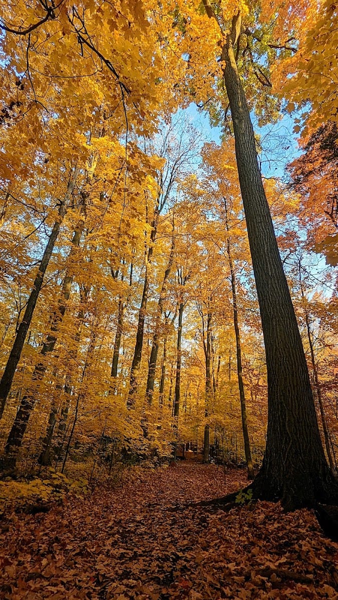 Moraine Park