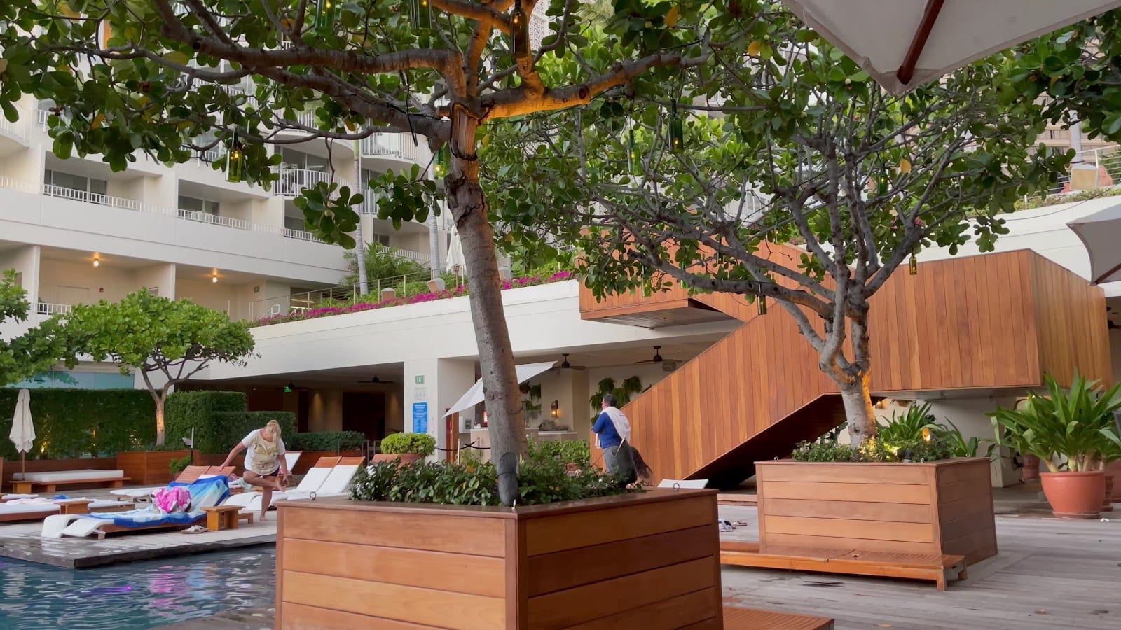 The Grove Restaurant & Bar, photo 4