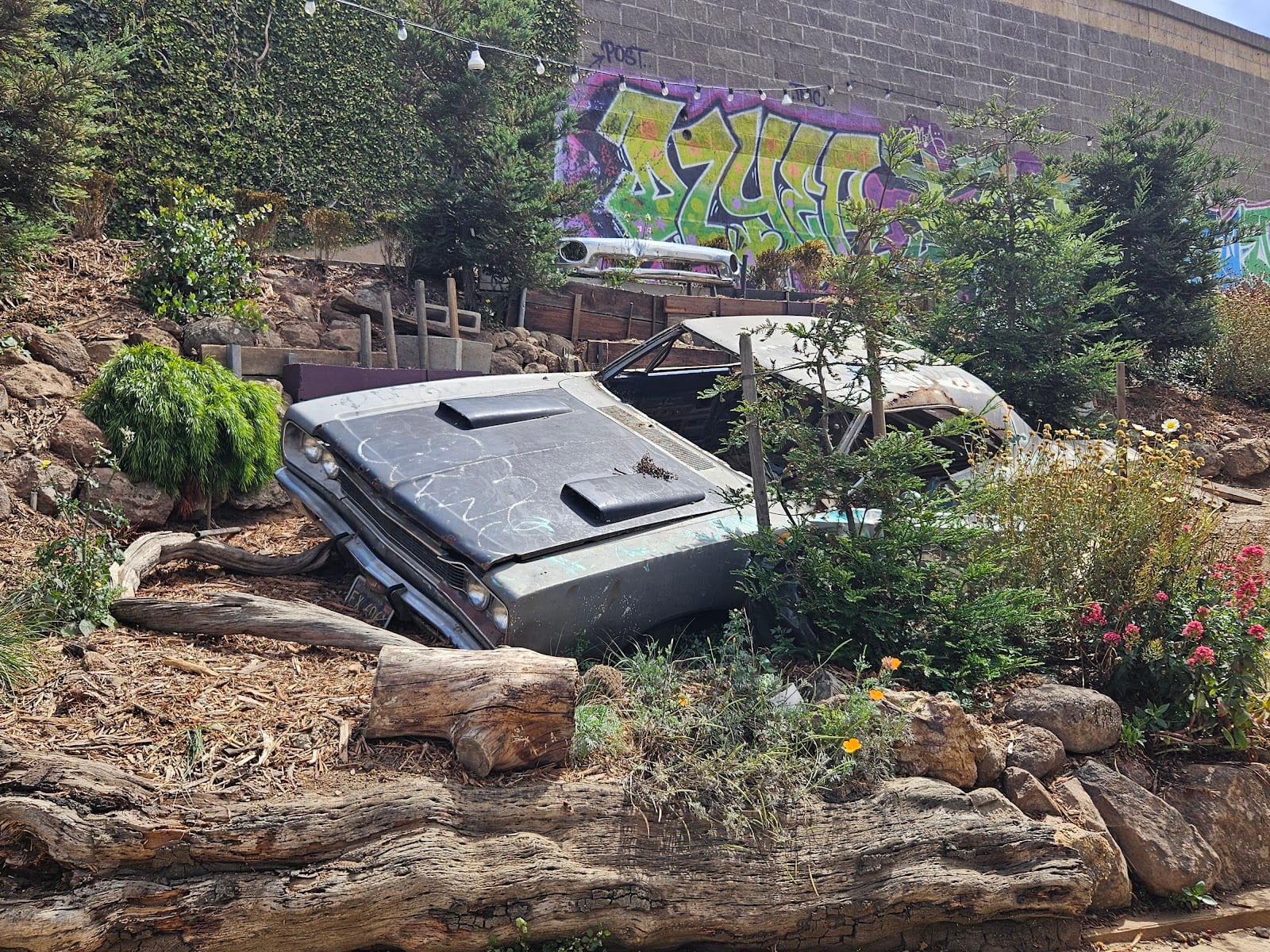 Burrows Pocket Park, photo 3