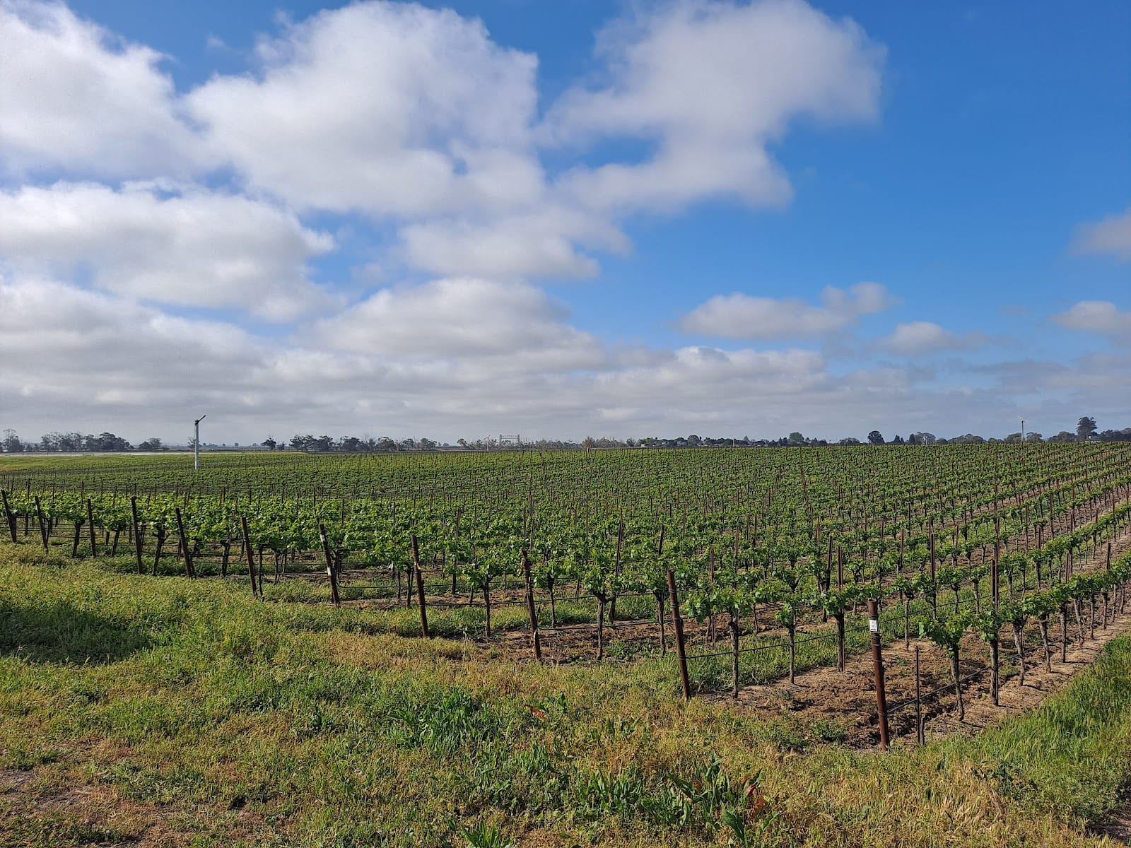 Stanly Ranch Area Public Trails