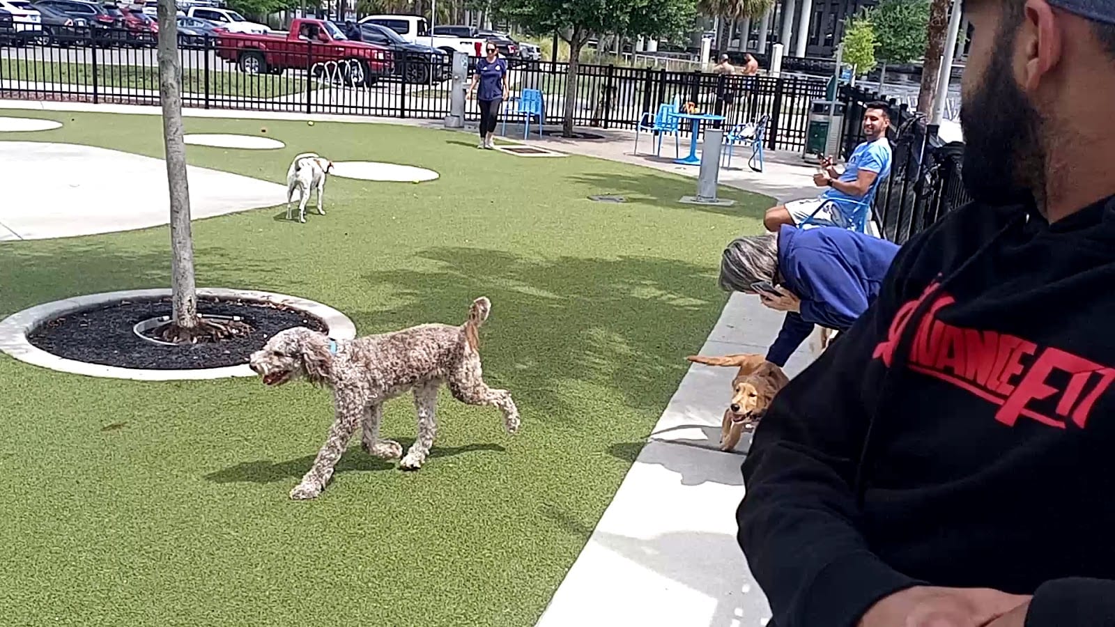 Dog Parks at Julian B. Lane Riverfront Park, photo 2